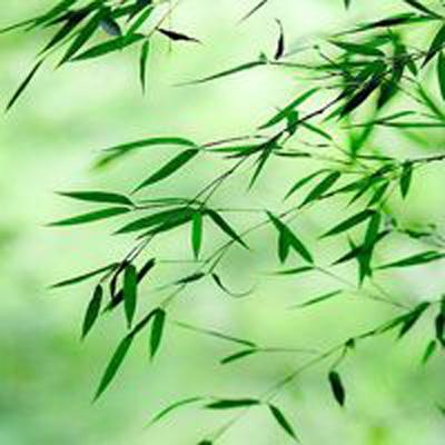 问道神域游戏官方下载
