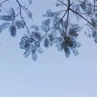 何方妖孽变态版游戏下载