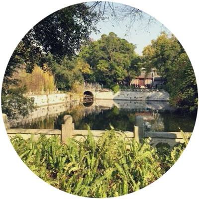 荣耀誓言游戏下载