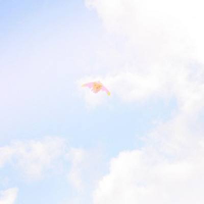 九州王者手游下载